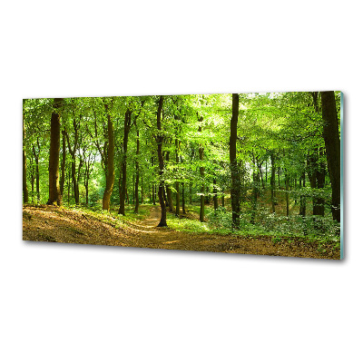 Verre pour crédence Sentier forestier