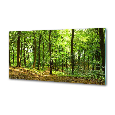 Verre pour crédence Sentier forestier