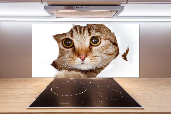 Verre pour crédence Chat