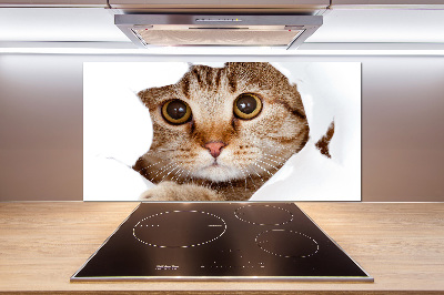 Verre pour crédence Chat