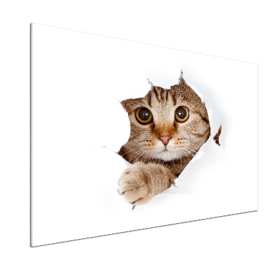 Verre pour crédence Chat