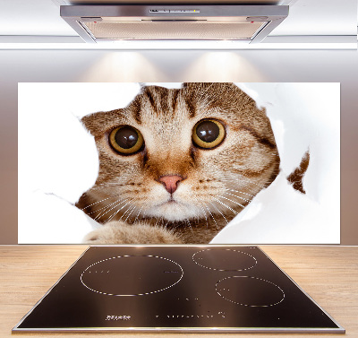 Verre pour crédence Chat