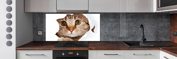 Verre pour crédence Chat