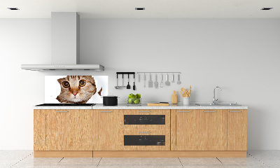 Verre pour crédence Chat