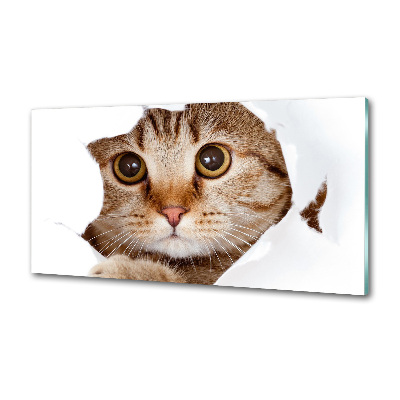 Verre pour crédence Chat