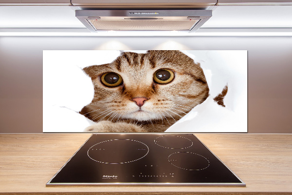 Verre pour crédence Chat