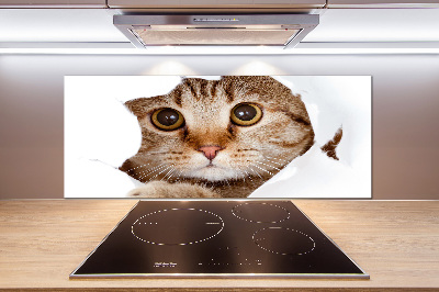 Verre pour crédence Chat