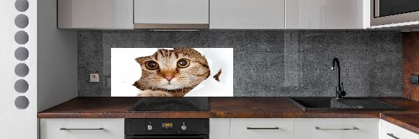 Verre pour crédence Chat