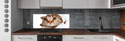 Verre pour crédence Chat