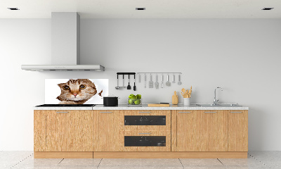 Verre pour crédence Chat