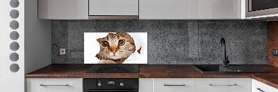 Verre pour crédence Chat