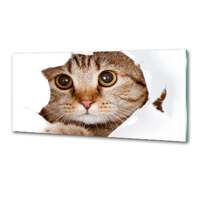 Verre pour crédence Chat