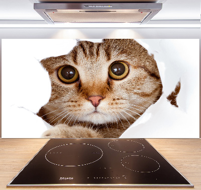 Verre pour crédence Chat