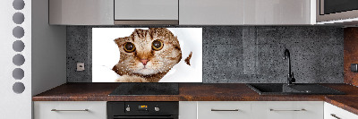 Verre pour crédence Chat