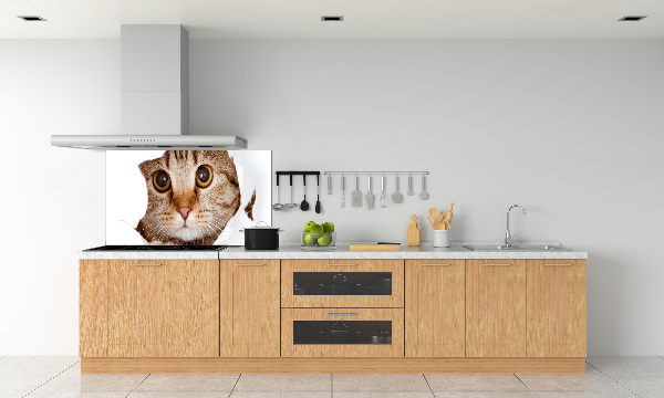 Verre pour crédence Chat