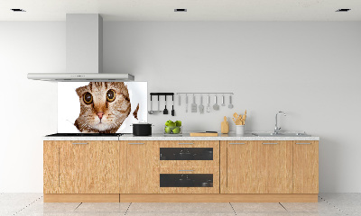 Verre pour crédence Chat