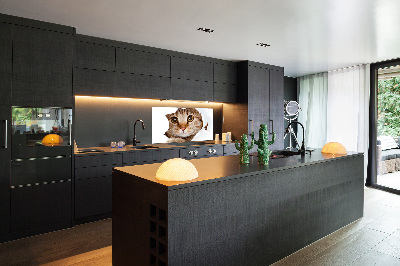 Verre pour crédence Chat