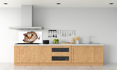 Verre pour crédence Chat