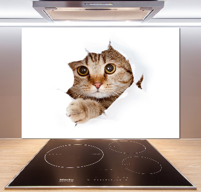 Verre pour crédence Chat