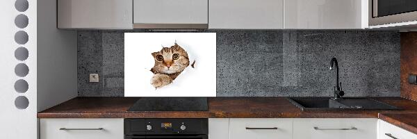 Verre pour crédence Chat