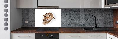 Verre pour crédence Chat