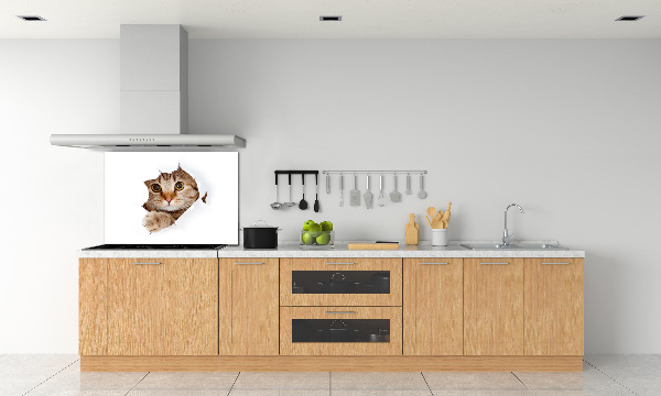Verre pour crédence Chat
