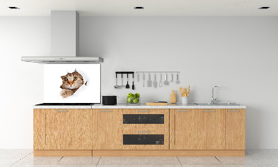 Verre pour crédence Chat