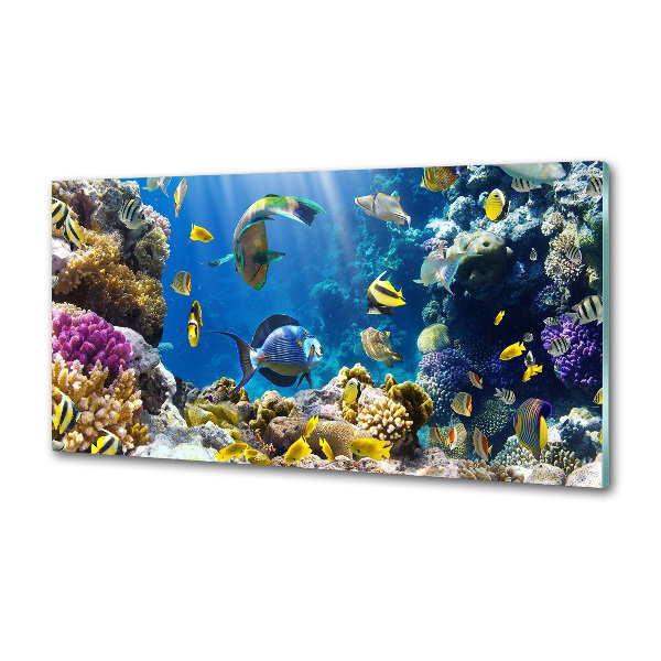 Verre pour crédence Récif de corail