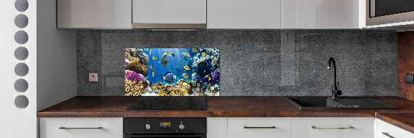 Verre pour crédence Récif de corail