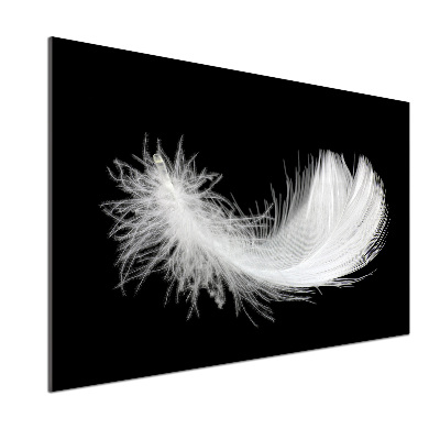 Panneau pour cuisine Plume