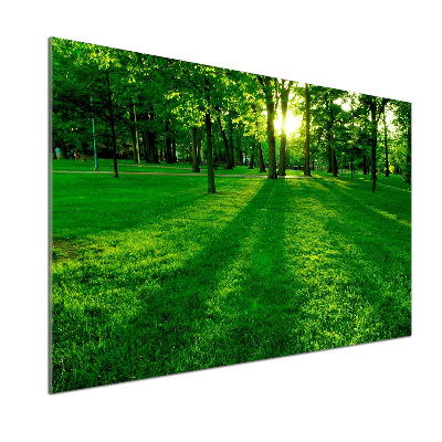 Crédence en verre avec motif Herbe dans le parc