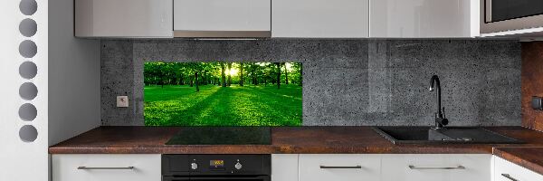 Crédence en verre avec motif Herbe dans le parc