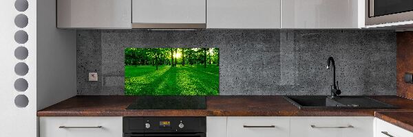 Crédence en verre avec motif Herbe dans le parc