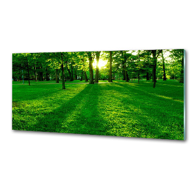 Crédence en verre avec motif Herbe dans le parc