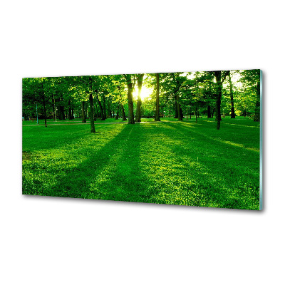 Crédence en verre avec motif Herbe dans le parc