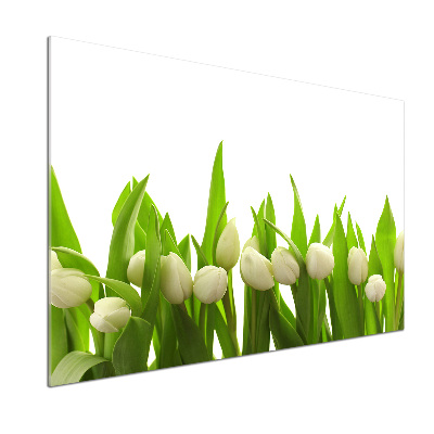 Crédence en verre cuisine Tulipes blanches