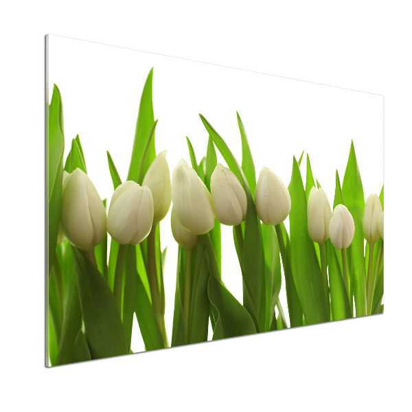 Crédence cuisine en verre trempé Tulipes blanches