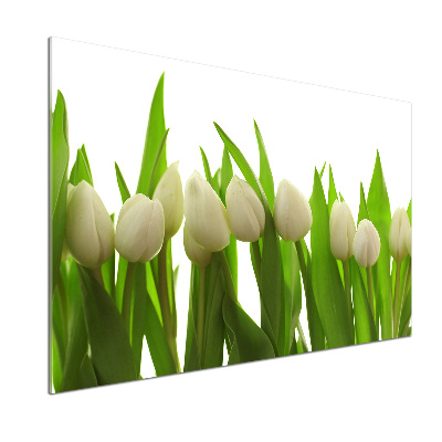 Crédence cuisine en verre trempé Tulipes blanches