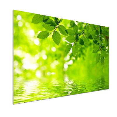Verre pour crédence Feuilles vertes