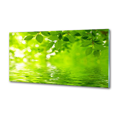 Verre pour crédence Feuilles vertes
