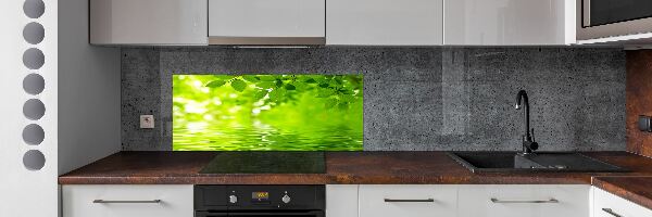 Verre pour crédence Feuilles vertes