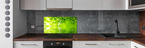 Verre pour crédence Feuilles vertes