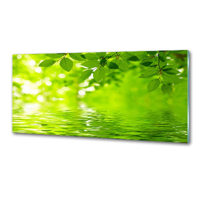 Verre pour crédence Feuilles vertes