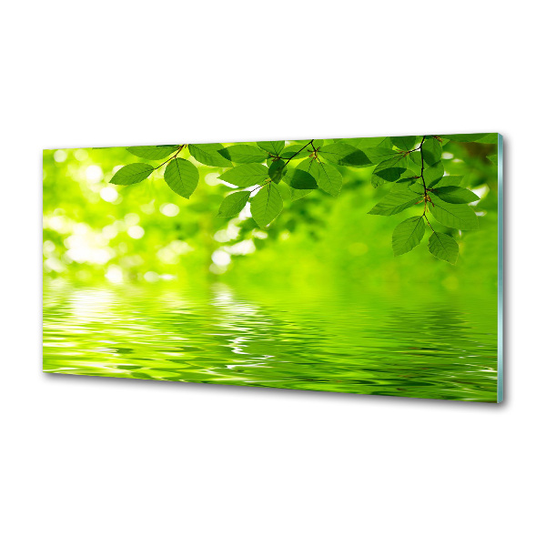 Verre pour crédence Feuilles vertes
