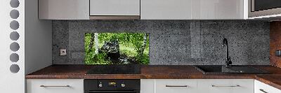 Verre pour crédence Jeep dans la forêt