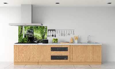 Verre pour crédence Jeep dans la forêt