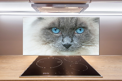 Crédence en verre avec motif Chat aux yeux bleus