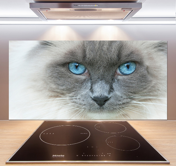 Crédence en verre avec motif Chat aux yeux bleus