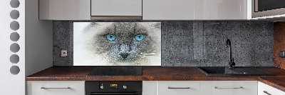 Crédence en verre avec motif Chat aux yeux bleus