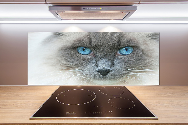 Crédence en verre avec motif Chat aux yeux bleus